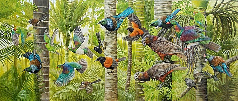 craig platt nz native bird artist, oil paintings